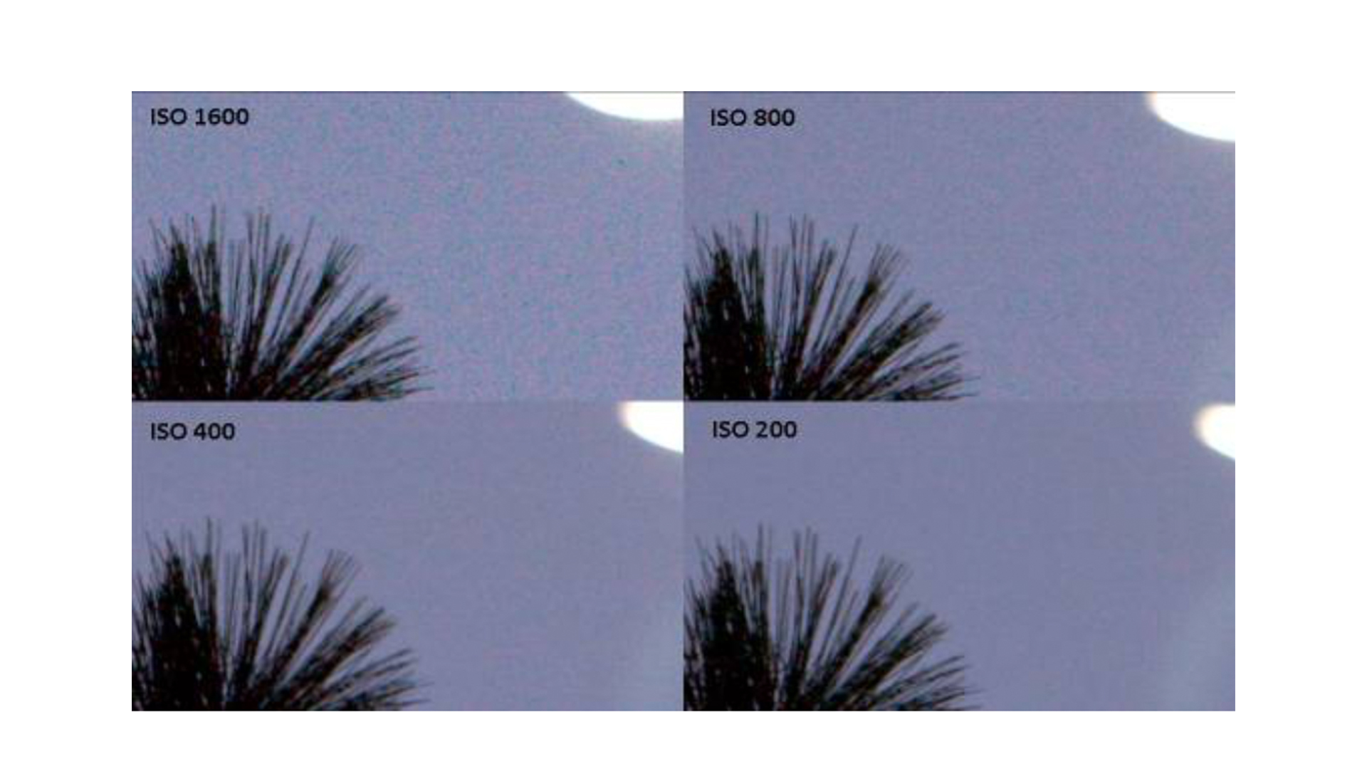 Influencia de la sensibilidad ISO en la calidad de la imagen. 